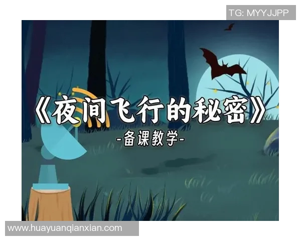 专访赵磊：深入探讨CSGO成功背后的秘密与策略