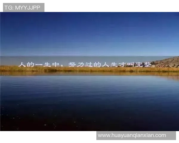 深度对话赵芳的网球人生与梦想追逐的心路历程 深度对话赵芳的网球人生与梦想追逐的心路历程