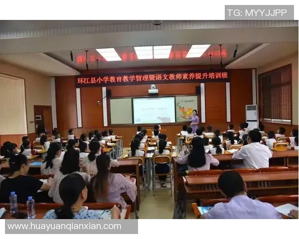 成都排球队心理素质提升之路：从训练到比赛的全方位剖析与探讨