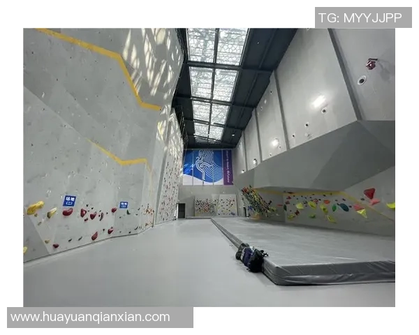 杭州攀岩队的运营揭秘与深度分析探索攀岩运动的魅力与挑战