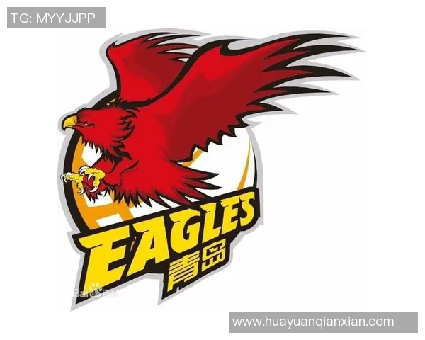 武汉篮球队意识表现分析大满贯点评揭示球队潜力与不足