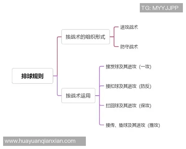杭州排球队战术深度解析与实战应用探讨